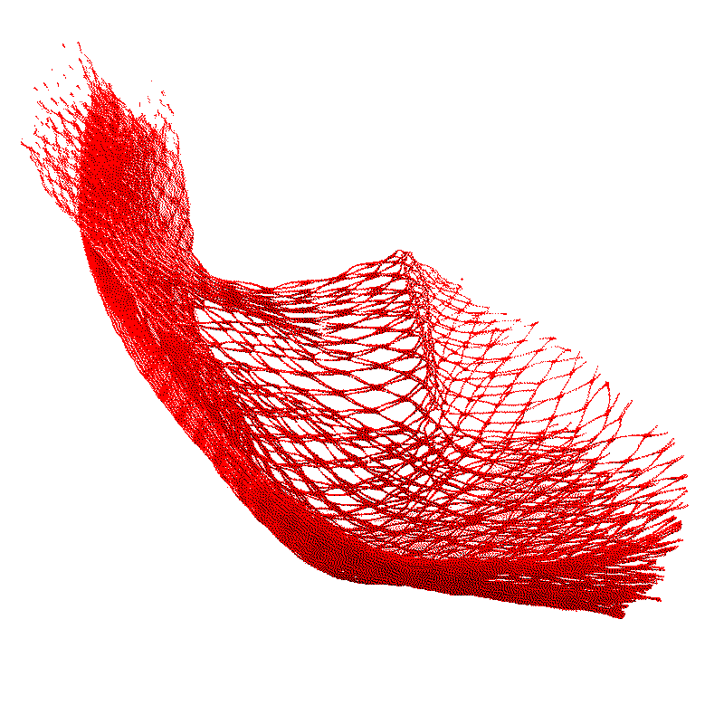 a small red plastic net that contained 3 garlic bunches